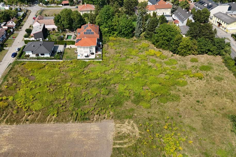 7 Exklusive Baugründe in begehrter Bisamberg-Region, Grund und Boden-kauf, 325.000,€, 2102 Korneuburg