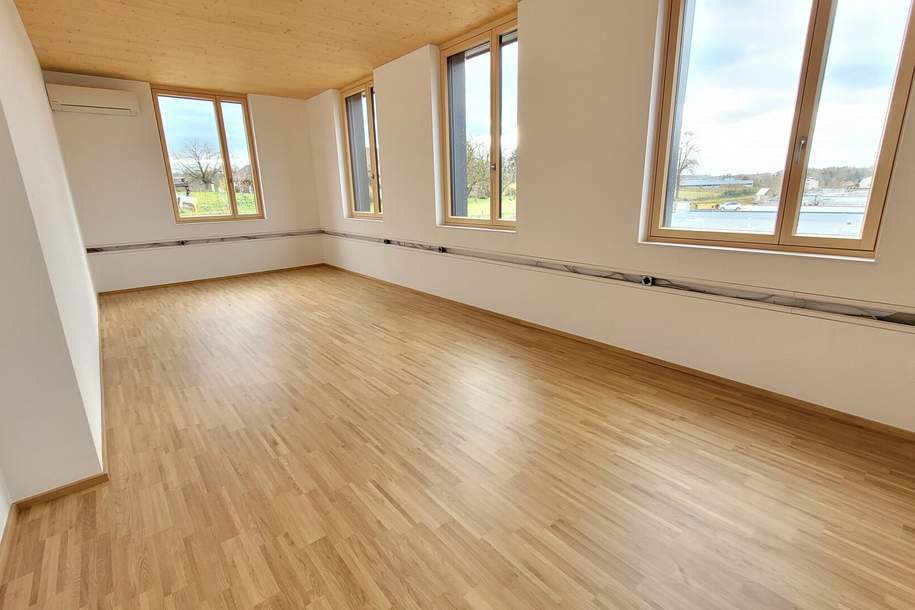 NEUBAU - HOLZQUADRAT - ARBEITE GRÜN, Gewerbeobjekt-miete, 812,89,€, 4540 Steyr-Land