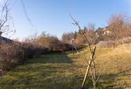 "Großzügiges Haus mit Weitblick im Kreuttal"