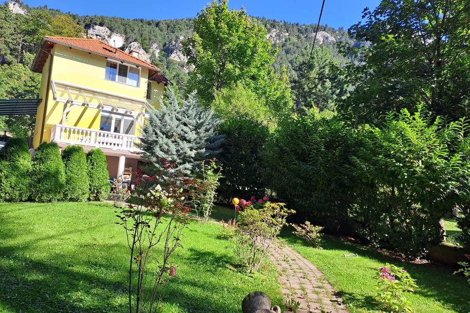 TOP LAGE zwischen Hohe Wand und Schneeberg: "Einmalige Immobilie", Haus-kauf, 299.000,€, 2733 Neunkirchen