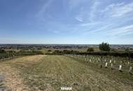 Charmantes Kellerstöckl mit Garten, Balkon & Fernblick im Pinkatal – Südburgenland