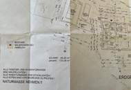 Charmantes Wohnhaus mit großem Garten für Familien, Naturliebhaber oder Selbstversorger