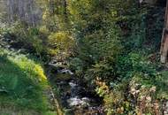 Für Naturliebhaber und Heimwerker- sanierungsbedürftiges Bauernhaus mit Nebengebäuden - zwischen Hermagor und Villach