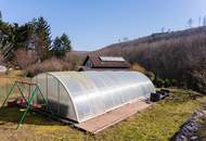 Haus, POOL und Wienerwaldblick Ihre GELEGENHEIT