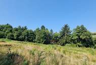 BAUGRUNDSTÜCKE - NEUPARZELLIERUNG IN SCHÖNER RUHELAGE