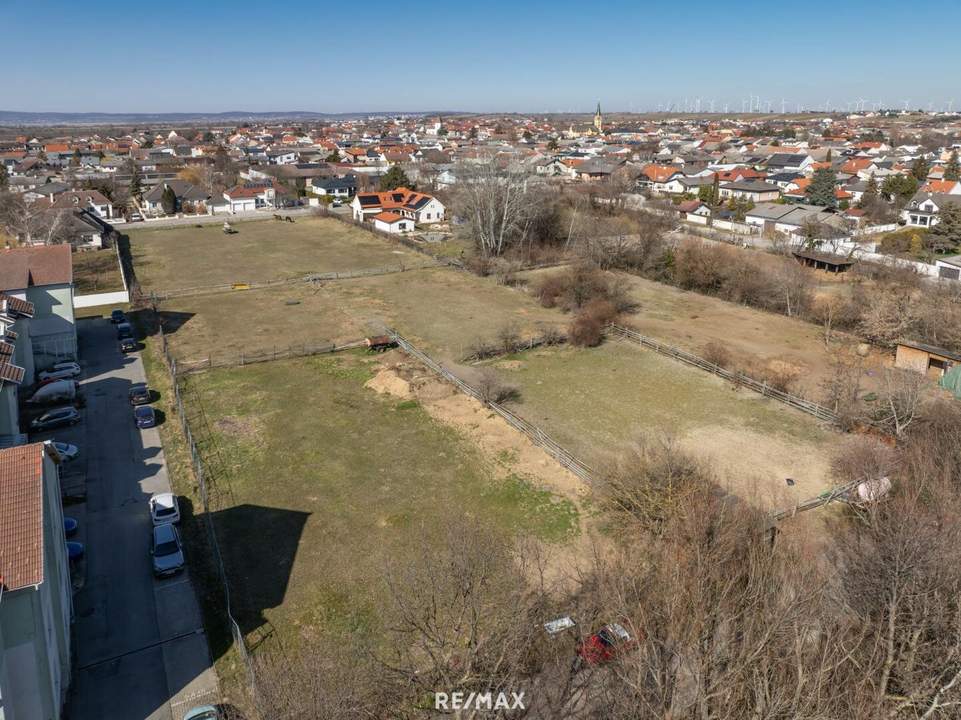 Exklusives Baugrundstück in Gols – Ideales Projektpotenzial für Investoren und Bauträger- zu verkaufen!