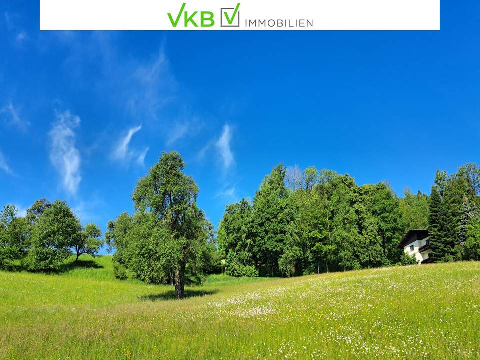 Bad Schallerbach: NEUER PREIS Großflächiges Baugrundstück (6395m²) in Zentrumslage zu verkaufen!