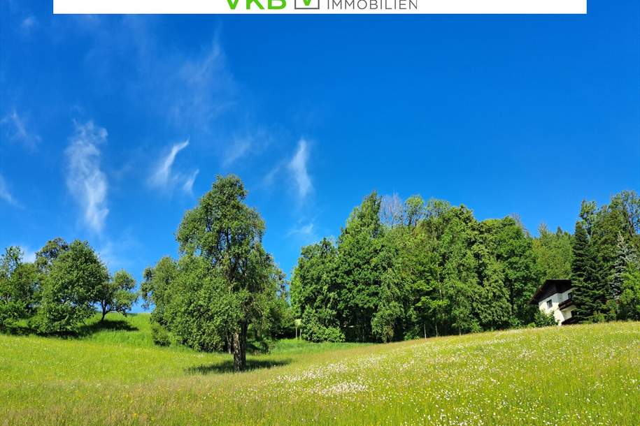 Bad Schallerbach: NEUER PREIS Großflächiges Baugrundstück (6395m²) in Zentrumslage zu verkaufen!, Grund und Boden-kauf, 1.600.000,€, 4701 Grieskirchen