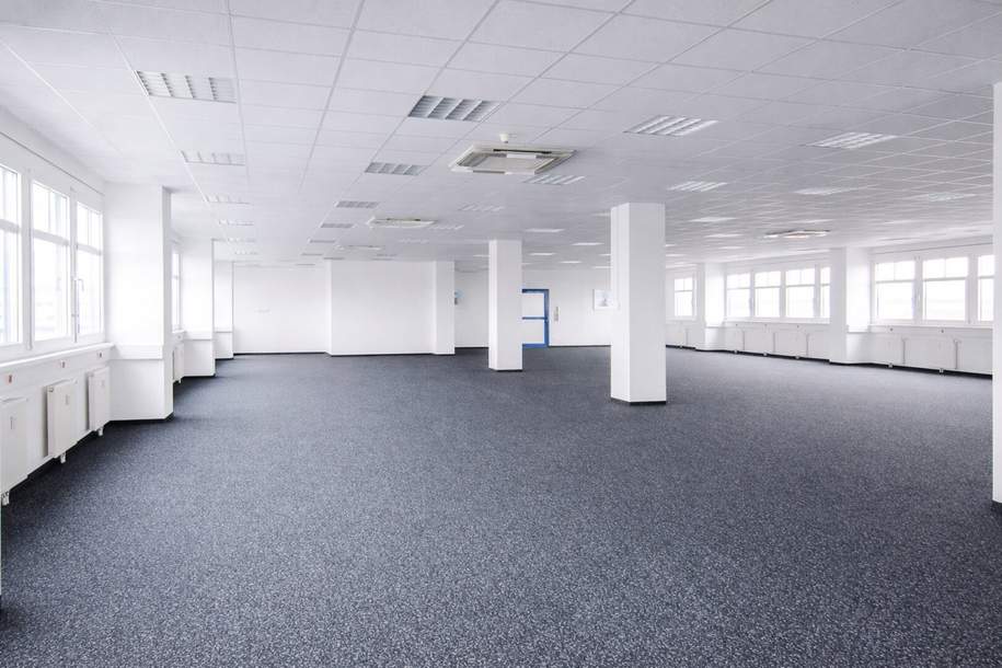 Büro südlich von Wien in Wr. Neudorf, Gewerbeobjekt-miete, 3.172,40,€, 2351 Mödling