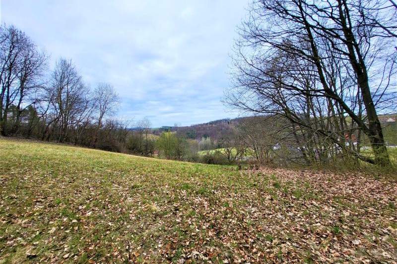 Baugrund (5.444m²) in Traumlage in Grieselstein - Nähe Therme Loipersdorf!, Grund und Boden-kauf, 200.000,€, 8380 Jennersdorf