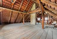 Einzigartige Landwirtschaft mit zwei Wohnhäusern, Wirtschaftsgebäuden, Wald- und Ackerflächen im Lavanttal