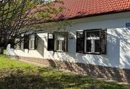 Rarität "Vierkanter" direkt neben dem Golfplatz