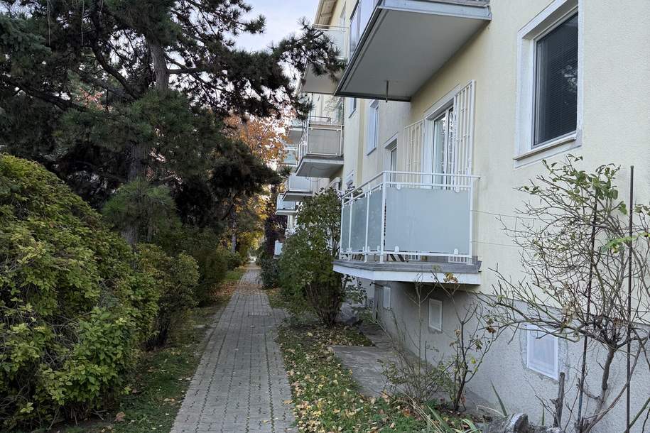 2 Zimmer &amp; Balkon, Wohnung-miete, 800,00,€, 2340 Mödling