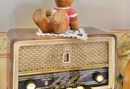 Exklusive Rarität - Villa mit traumhaftem Garten und Ordination