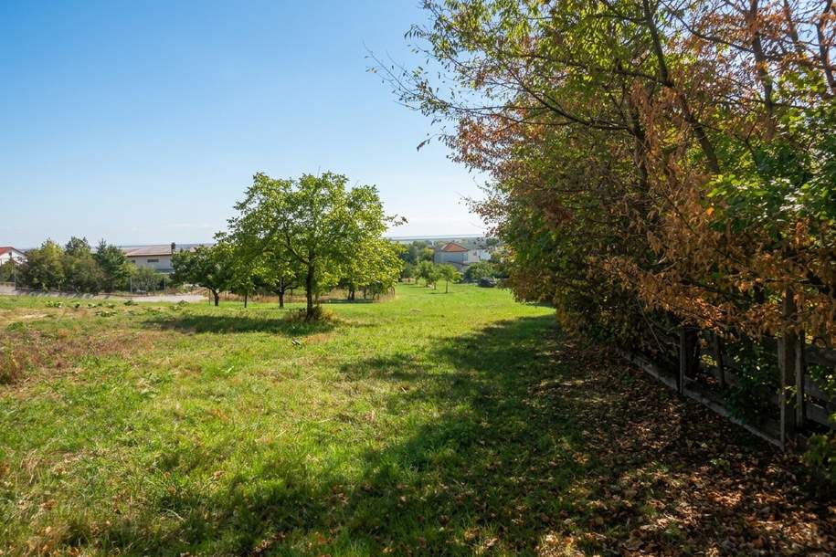 Großzügiges Grundstück in ruhiger Lage!, Grund und Boden-kauf, 590.000,€, 7083 Eisenstadt-Umgebung