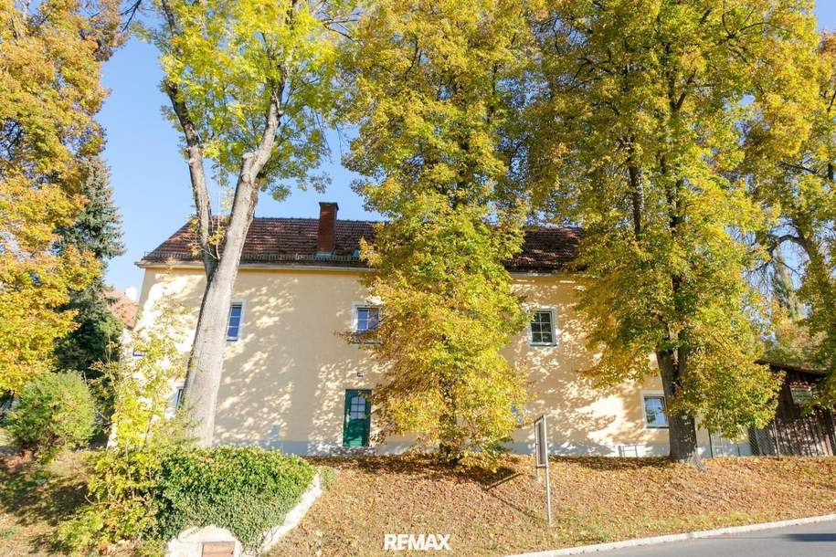 Geschichtsträchtiges Gebäude mit Potential, Haus-kauf, 174.000,€, 3920 Zwettl