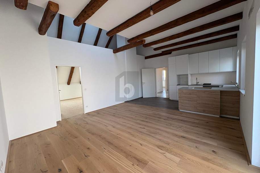 HOCHWERTIG SANIERT! HISTORISCHER CHARME TRIFFT MODERNEN KOMFORT, Wohnung-miete, 4523 Steyr-Land