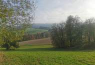 Vierkanthof in Alleinlage mit ca. 5 ha landwirtschaftliche Nutzfläche