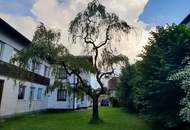 "Maisonette plus Geschäft und 300 m²Garten bei Wieselburg!"
