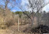 Traumgrund neben dem Wald mit sanierungsbedürftigem Althausbestand