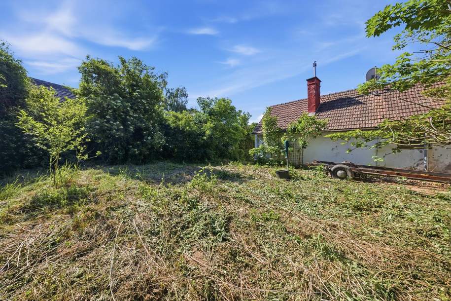 DAS IDEALE GRUNDSTÜCK FÜR IHR TINY HAUS- 35 Minuten von Wien entfernt!, Grund und Boden-kauf, 90.000,€, 2020 Hollabrunn