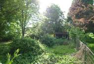 Baugrundstück ohne Bauzwang mit alten Baumbestand