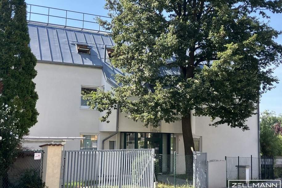 Geräumige Gartenwohnung in Bestlage von Hietzing / ZELLMANN IMMOBILIEN, Wohnung-kauf, 950.000,€, 1130 Wien 13., Hietzing