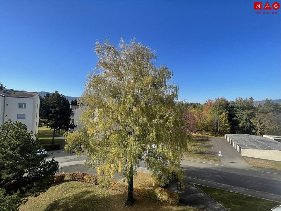 Wunderschöne, neu renovierte 3-Zimmer-Wohnung