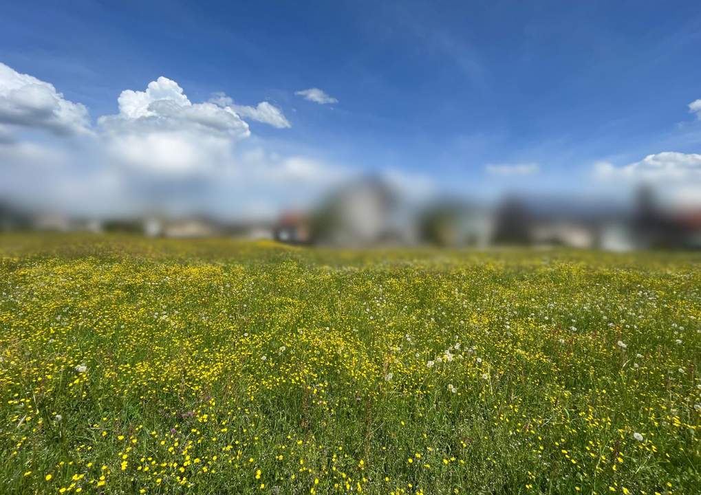 Traumhaftes Grundstück | Straßwalchen