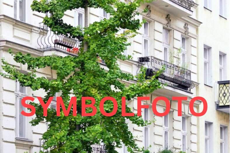 STILZINSHAUS mit freien Einheiten, Gewerbeobjekt-kauf, 5.000.000,€, 1070 Wien 7., Neubau