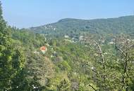 Landhaus auf 3000 m² TRAUMGRUND; absolute Grünruhelage in völliger IDYLLE !