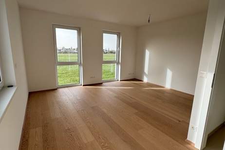 Modernes Doppelhaus in Niedrigenergiebauweise – Grünruhelage nahe Mühlwasser, Haus-miete, 2.390,00,€, 1220 Wien 22., Donaustadt