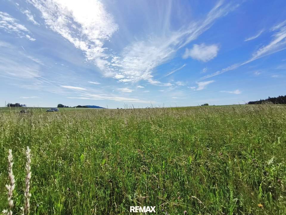 Grundstück mit Zukunftspotenzial im Waldviertel – 2.099 m² in Sprögnitz bei Zwettl