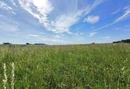 Grundstück mit Zukunftspotenzial im Waldviertel – 2.099 m² in Sprögnitz bei Zwettl
