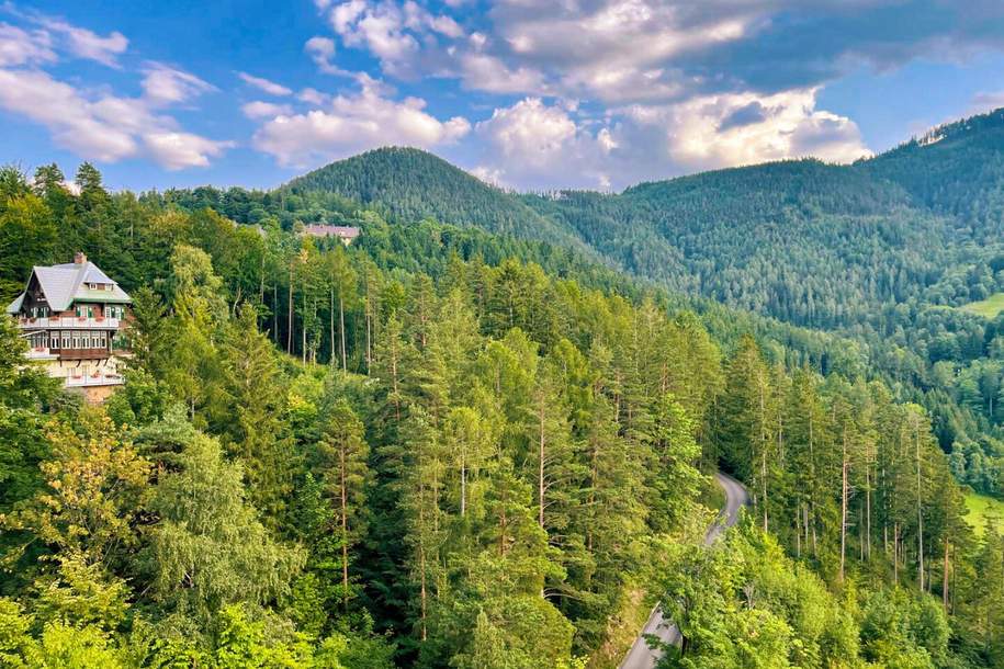 KAUFANBOT LIEGT VOR: Wohnen im Herzen des historischen Höhenluftkurorts Semmering!, Wohnung-kauf, 135.000,€, 2680 Neunkirchen