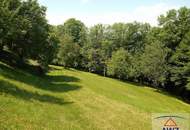 Ein kleines, feines und günstiges Sacherl mitten im Grünen!