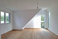 5-Zimmer-Einfamilienhaus mit Dachterrasse am oberen Mühlwasser | Erstbezug