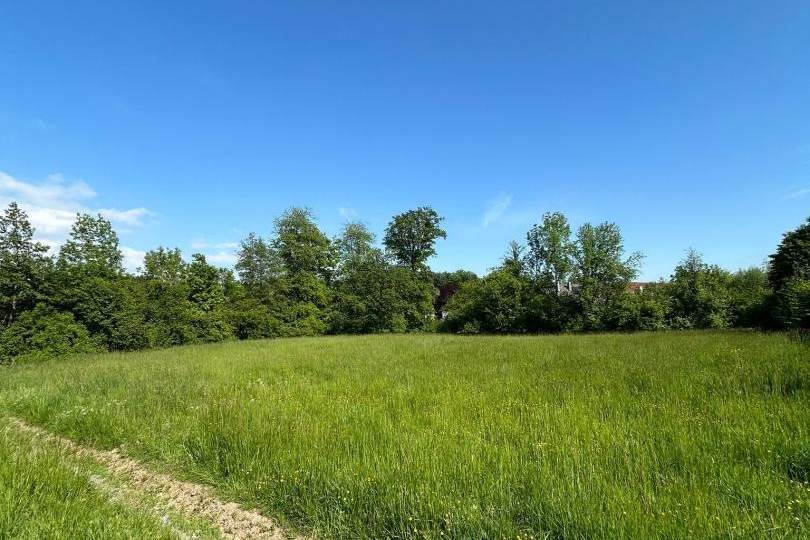 Idyllisches Juwel mit ruhigem Bachlauf – Baugrundstück ohne Bauzwang, Grund und Boden-kauf, 799.000,€, 4612 Eferding