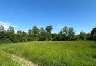 Idyllisches Juwel mit ruhigem Bachlauf – Baugrundstück ohne Bauzwang