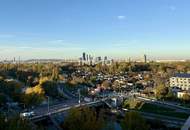 TOP-Ausblick: City mit Stephansdom, Donaukanal, Prater. Concierge, Party &amp; BBQ Lounge, Pool usw.