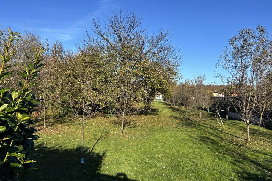 Baugrundstück ca. 1.486 m² in Mitterpullendorf zu verkaufen - Verwirklichen Sie Ihren Traum vom Eigenheim!, Grund und Boden-kauf, 149.000,€, 7350 Oberpullendorf