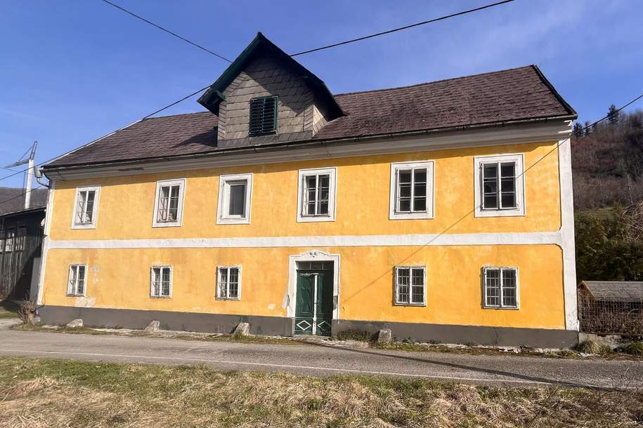 Stark sanierungsbedürftiges Haus, Haus-kauf, 73.000,€, 4460 Steyr-Land