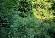 Ruhiges Kleingartengrundstück am Waldrand