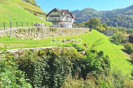 Baugrund 1.177 m² mit Donaublick - Südhang - mit angrenzenden kleinen Grünland 255 m² - St. Nikola, Grund und Boden-kauf, 44.500,€, 4381 Perg