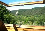 Exquisite Wohnlage mit herrlichen Grünblicken - großzügig &amp; familienfreundlich