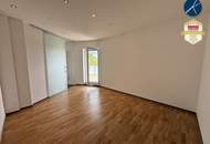 Großzügiges Penthouse mit Garten und Schwimmteich