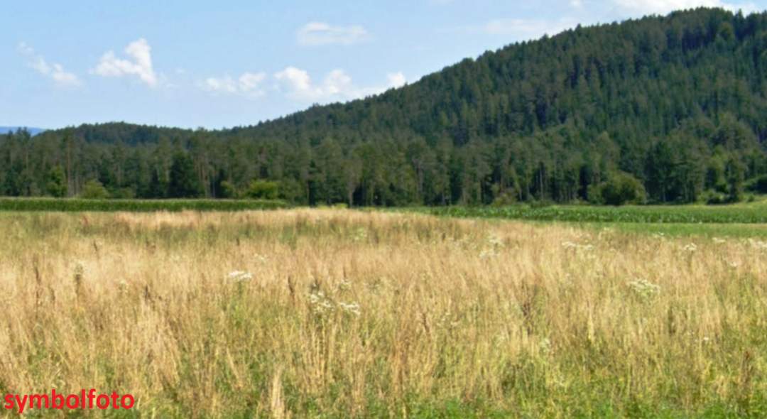 1,8 ha Bauland Potential in Jaunstein - Globasnitz