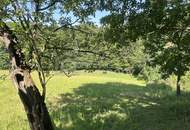 Das Paradies ist hier.....