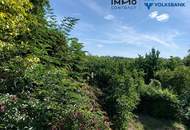 ++Neuer Preis++ Einzigartiges Landhaus oberhalb von Krems an der Donau!