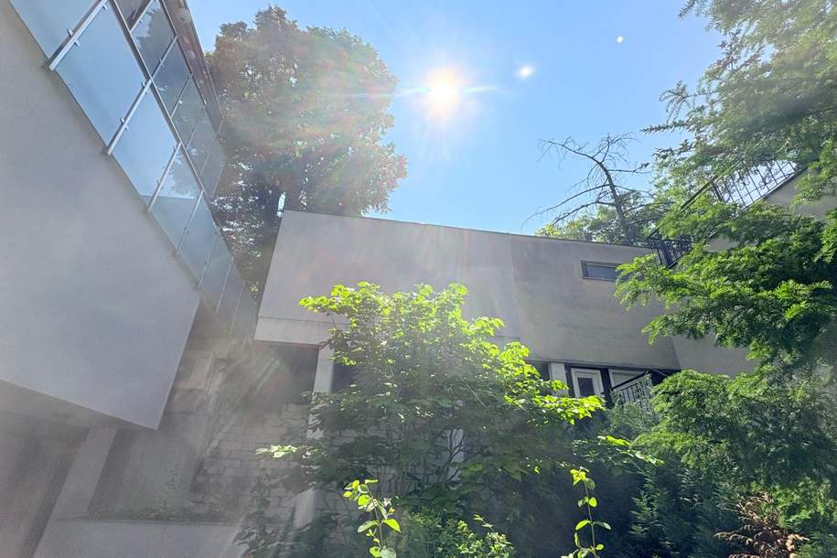 Ruhige Terrasse und Gartenwohnung im Kahlenbergerdorf, Wohnung-kauf, 398.000,€, 1190 Wien 19., Döbling